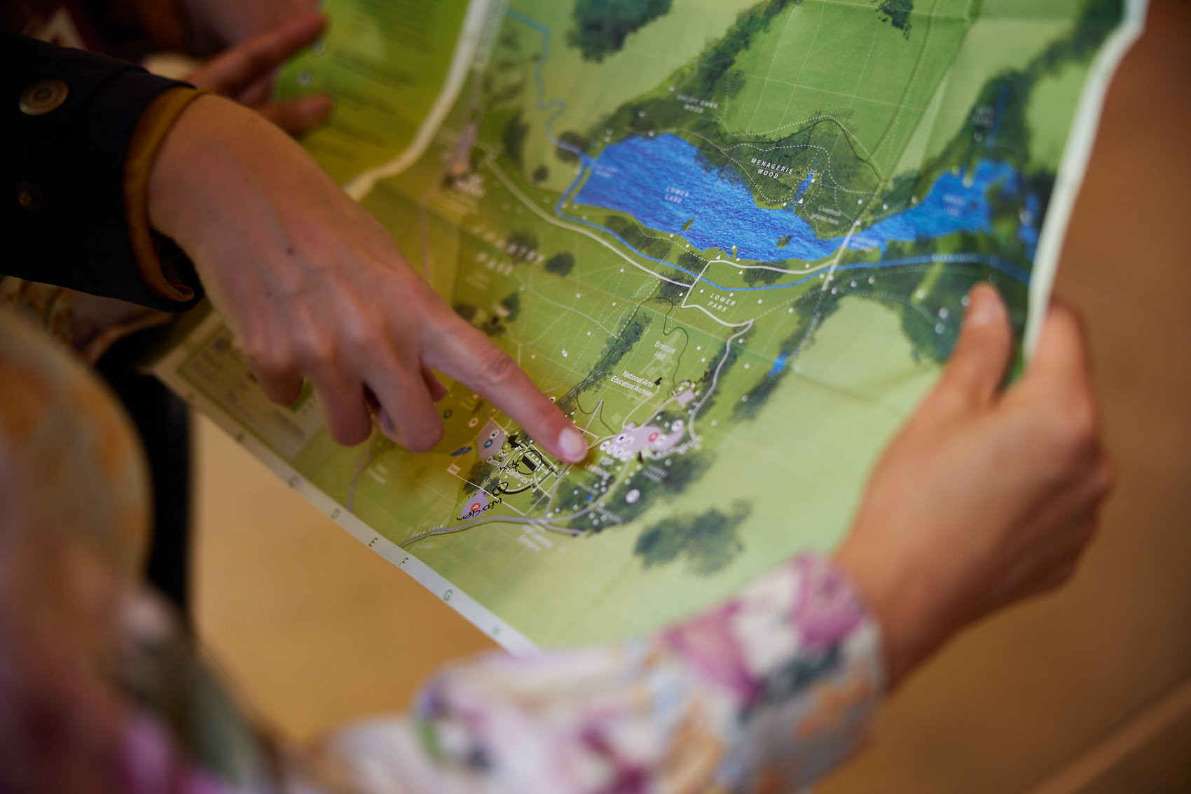 Close up of hands pointing to areas on a YSP Park map