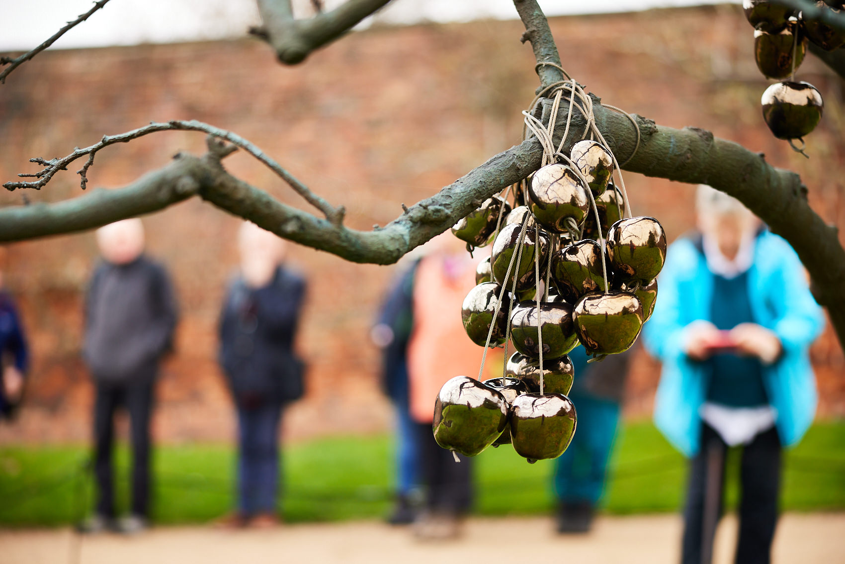 People taking photos of golden appled hanging from a branch