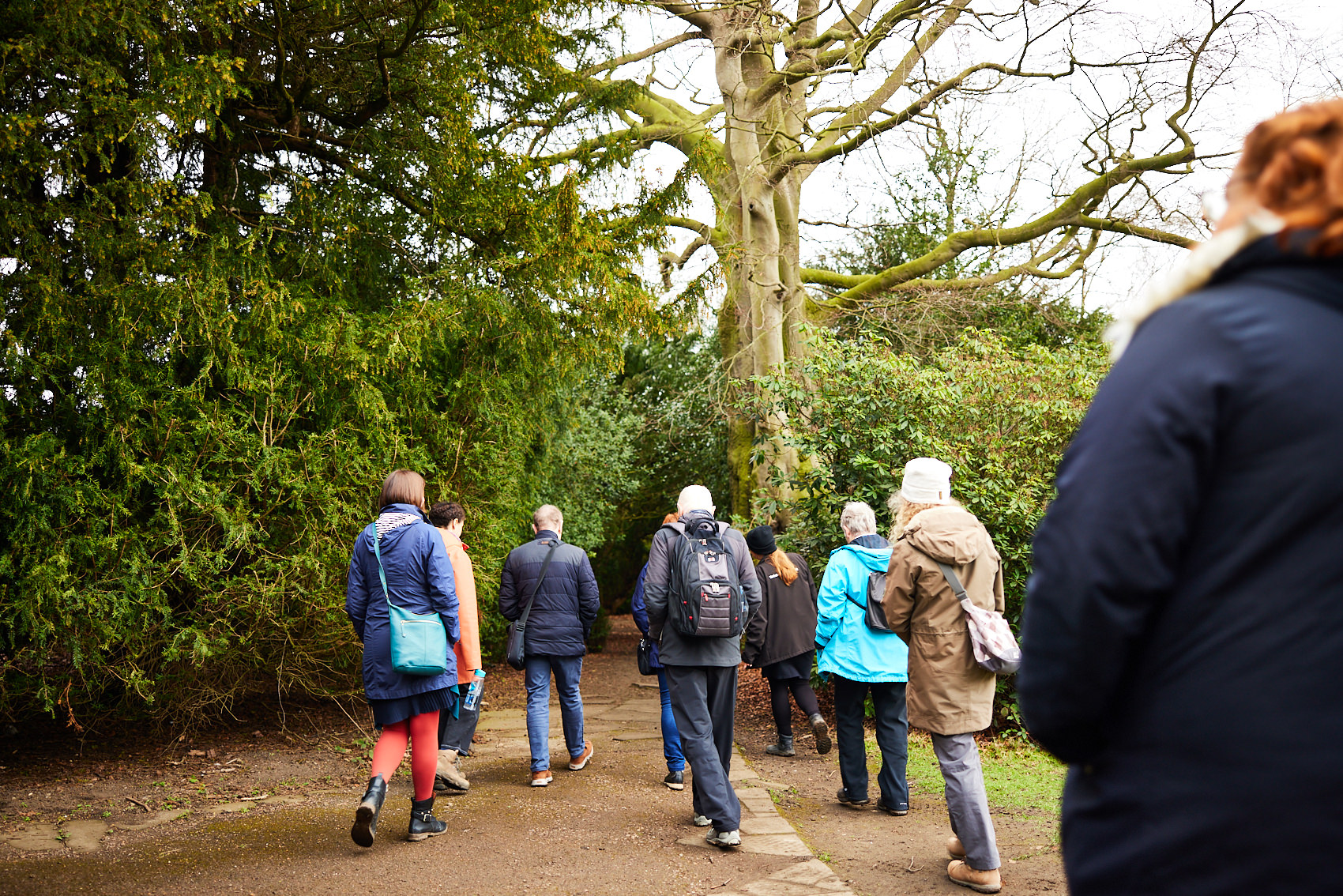 A group of people wearing winter coats, walking on a path between trees.