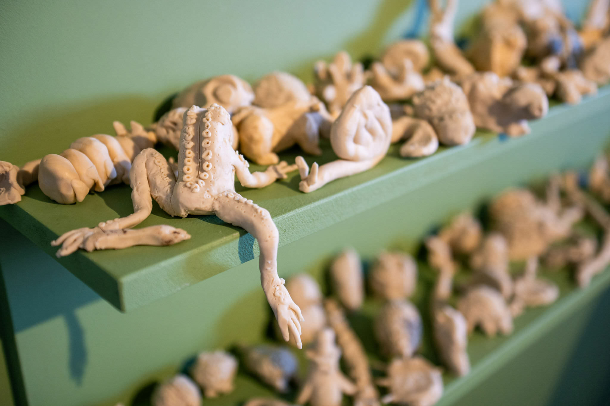 A shelf full of wax animal models