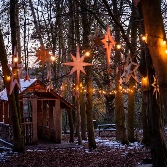 A woodland play area at dusk, decorated with festoon lights and wooden star decorations