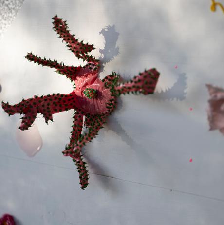 Close up of flower shaped rubber objects displayed on a white wall.