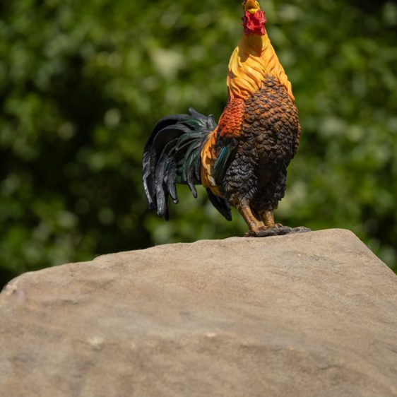 Detail of a sculpture depicting a stack of boulders with a life-sized chicken perched on the top, displayed outdoors.