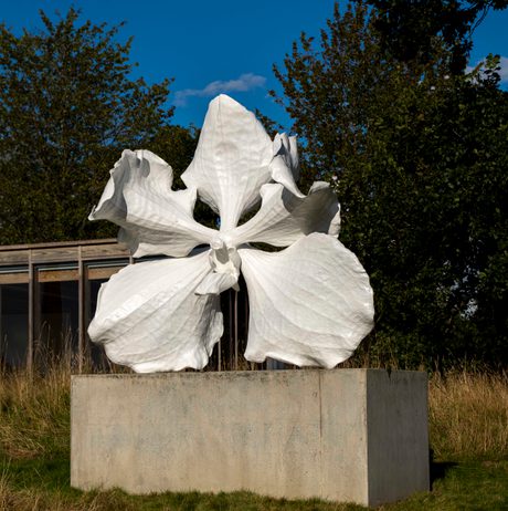 A sculpture of a white orchid flower, displayed on a concrete plinth outdoors. The Weston building is behind it.