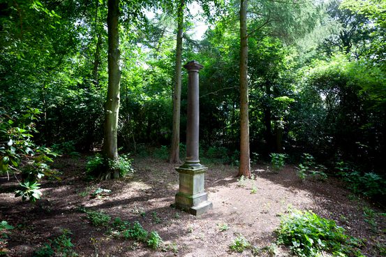 Obelisk in woodland.