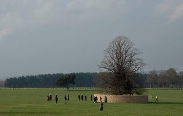 People standing in a field admiring Peter's Fold, a dry stone wall encircling a large tree.