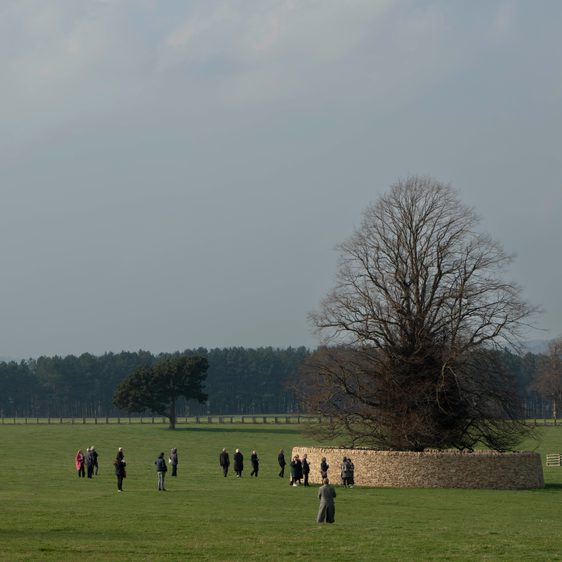 People standing in a field admiring Peter's Fold, a dry stone wall encircling a large tree.