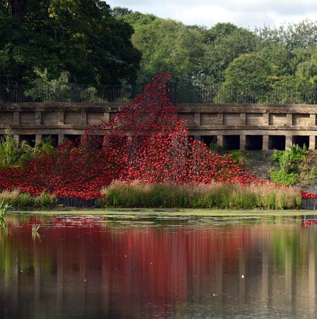 A cascade of red poppies flowing over a bridge into a lake.