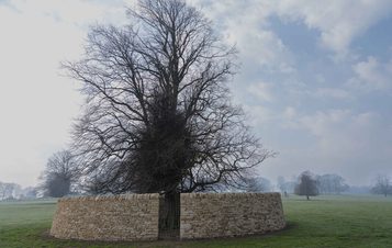 A large, leafless tree stands at the centre of a circular stone wall in a misty landscape. The wall is made of light-coloured stones, and the surrounding field is green with patches of fog. The sky is overcast, creating a serene atmosphere.
