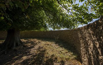 A sunlit scene featuring a large tree with a broad canopy, casting shade over a grassy area. Surrounding the space is a curved stone wall, creating a tranquil and secluded atmosphere. The sky is clear, enhancing the natural beauty of the setting.