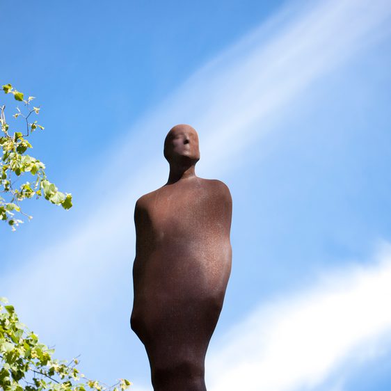A sculpture of a male figure, displayed on a dead tree trunk with blue sky and clouds behind it.