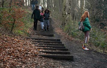 People walking on a series of wooden steps cut into a hillside. Trees are in the background.
