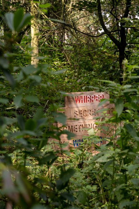 Idit Nathan and Helen Stratford Further Afield at Yorkshire Sculpture Park