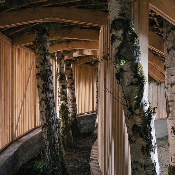 Inside view of Heather Peak and Ivan Morison – Silence Alone in a World of Wounds, 2021 at Yorkshire Sculpture Park