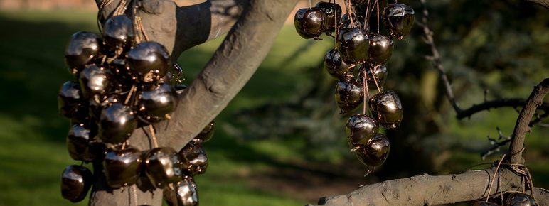 Anya Gallaccio, Blessed, at Yorkshire Sculpture Park