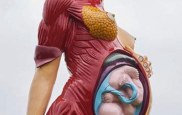 A large sculpture of a pregnant woman, with half her skin removed to reveal muscles and internal organs.