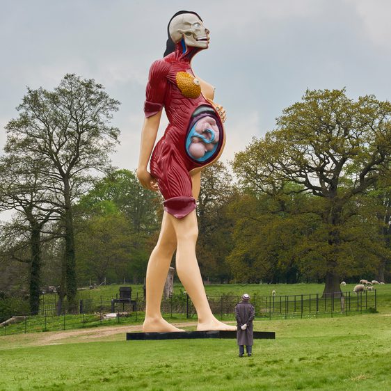A large sculpture of a pregnant woman, with half her skin removed to reveal muscles and internal organs.