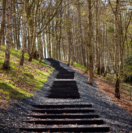 A series of wooden steps cut into a hillside. Trees are in the background.