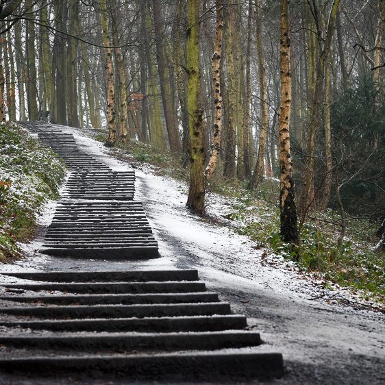 David Nash Seventy One Steps 2010 in the snow at Yorkshire Sculpture Park