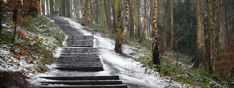 David Nash Seventy One Steps 2010 in the snow at Yorkshire Sculpture Park