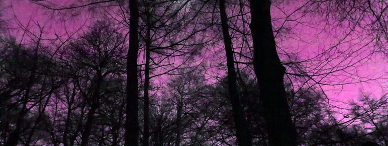 Dillan Marsh and Eleanor Clare Woods - The Poacher’s Lament and Other Half Heard Tales 2019 at Yorkshire Sculpture Park