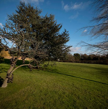 Anya Gallaccio, Blessed, at Yorkshire Sculpture Park