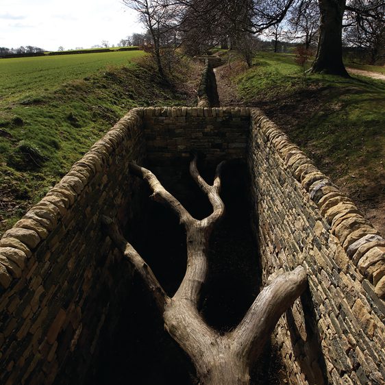 A dead tree, suspended between two dry stone walls.