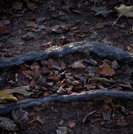 Hemali Bhuta Speed Breakers 2012 at Yorkshire Sculpture Park