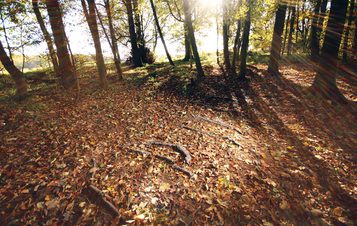 Hemali Bhuta Speed Breakers 2012 at Yorkshire Sculpture Park