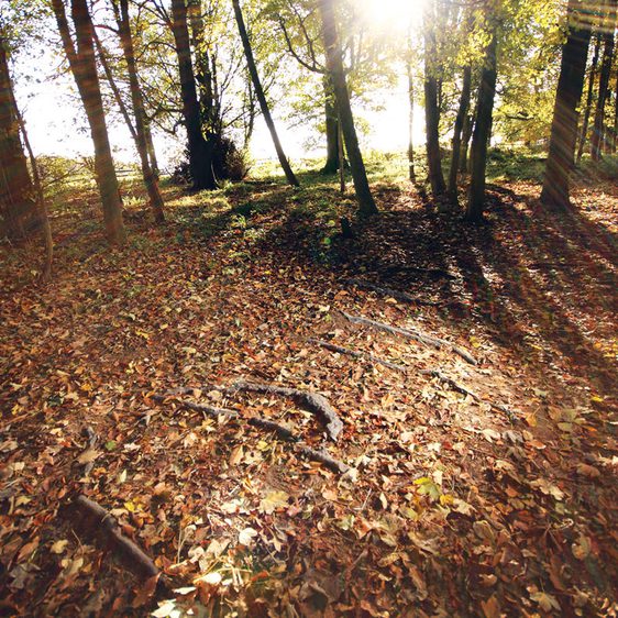 Hemali Bhuta Speed Breakers 2012 at Yorkshire Sculpture Park