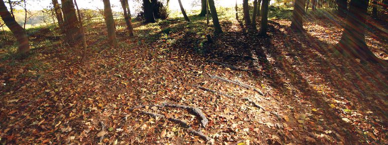 Hemali Bhuta Speed Breakers 2012 at Yorkshire Sculpture Park