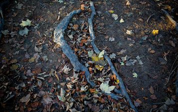 Hemali Bhuta Speed Breakers 2012 at Yorkshire Sculpture Park