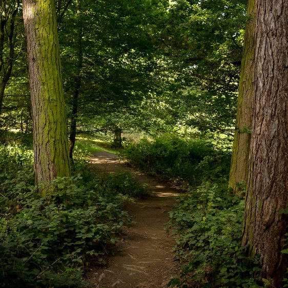 Jem Finer Longplayer Courtesy the Longplayer Trust at Yorkshire Sculpture Park