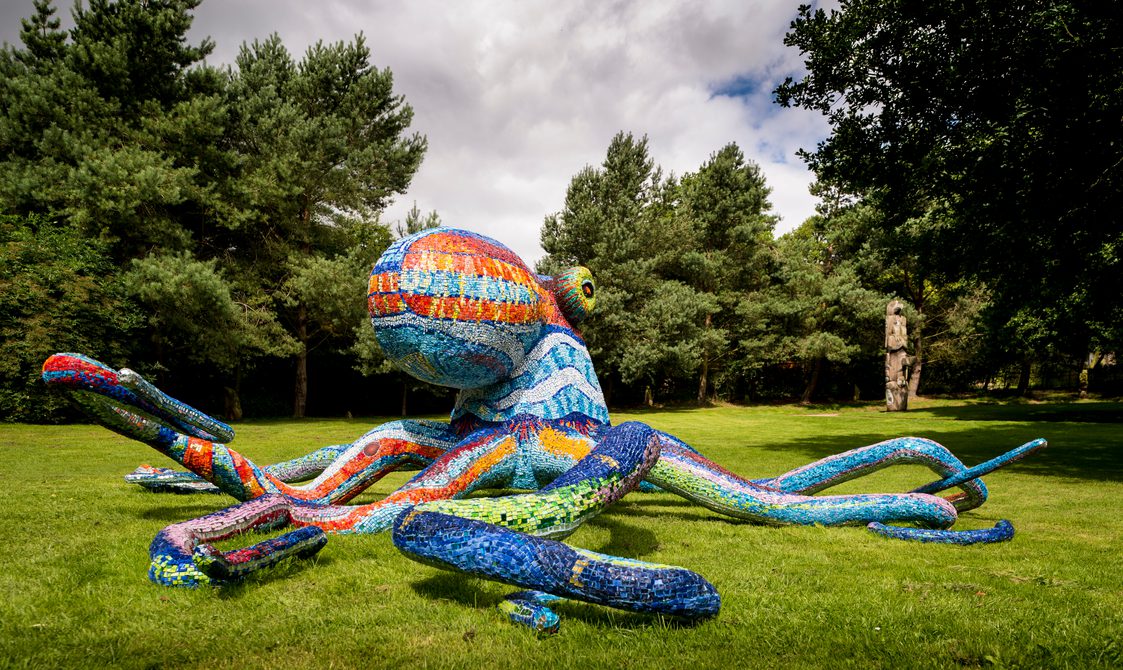 Marialuisa Tadei, Octopus 2011. Courtesy the artist and YSP at Yorkshire Sculpture Park