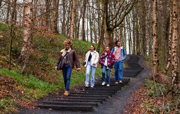 A group of people walking through woodland down David Nash's Seventy One Steps.