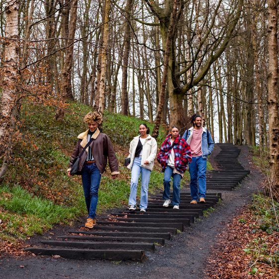 A group of people walking through woodland down David Nash's Seventy One Steps.