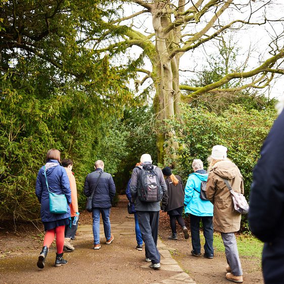 A group of people wearing winter coats, walking on a path between trees.