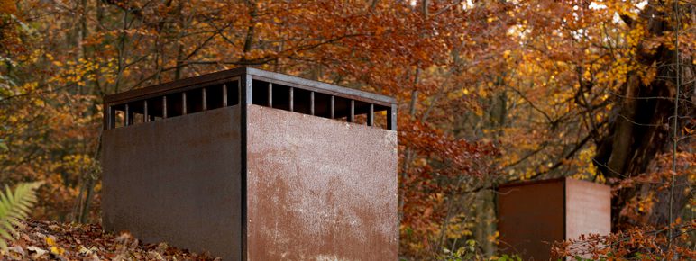 Two rusting steel cell sculptures surrounded by autumnal leaves.