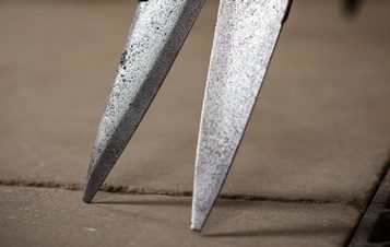 Detail of a pair of vintage metal sheep shears.