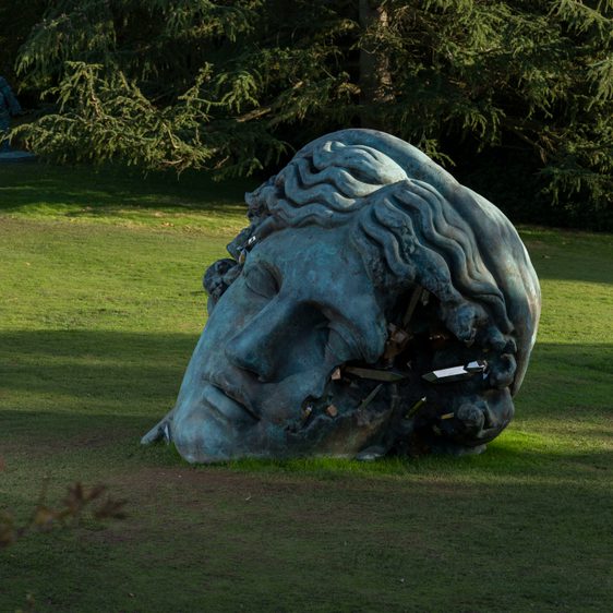 A large bronze sculpture of a woman's head, with eroded crystal sections.