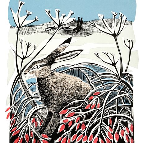 Angela Harding Winter Hare