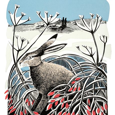 Angela Harding Winter Hare