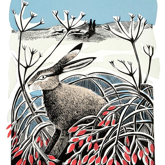 Angela Harding Winter Hare