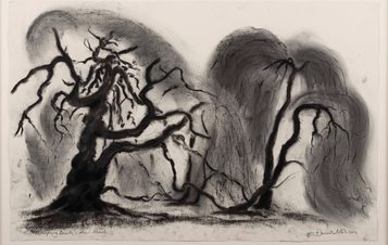 Charcoal drawing of two trees on paper.