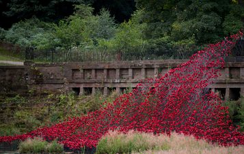 A cascade of red poppies flowing over a bridge into a lake.