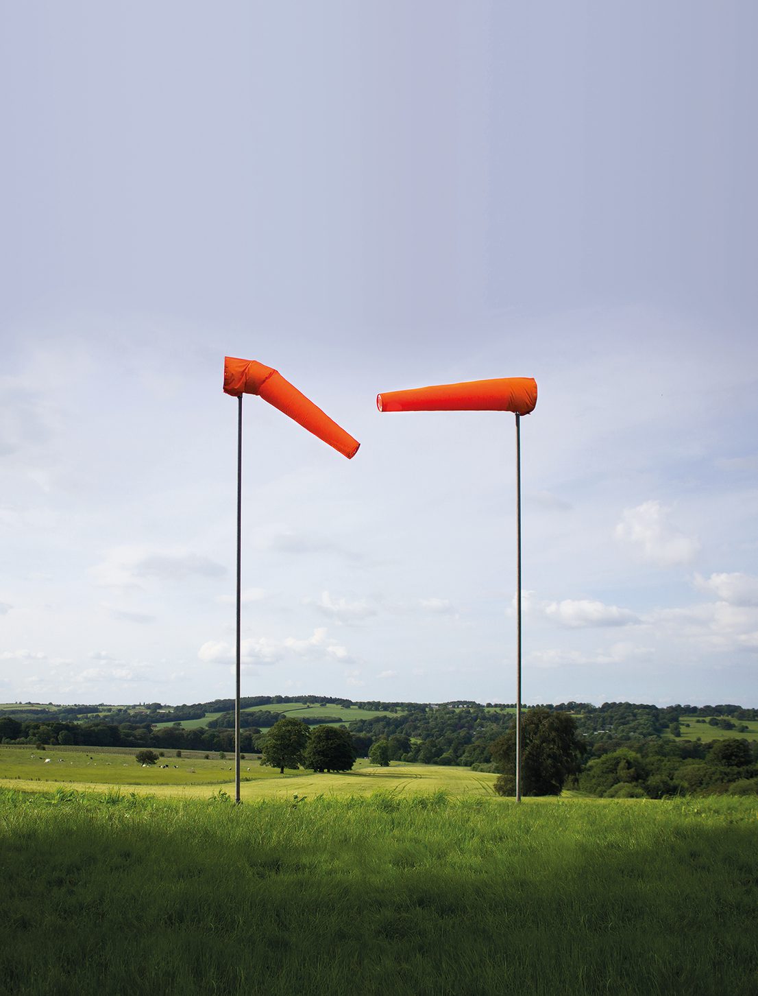 Two wind socks blowing towards each other standing on green grass with a blue sky in the background.