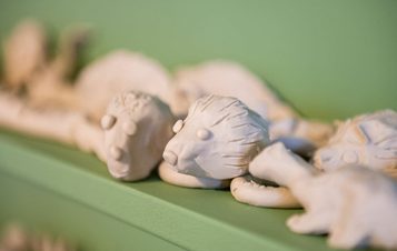 A shelf of wax animal models