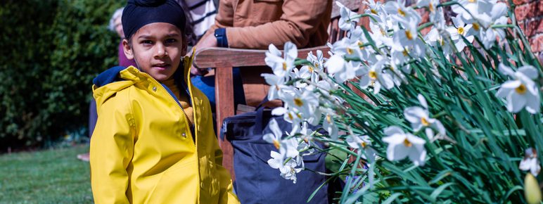 A child in a yellow rain jacket sitting on the ground near a patch of daffodils while his parents sit on a bench behind him.