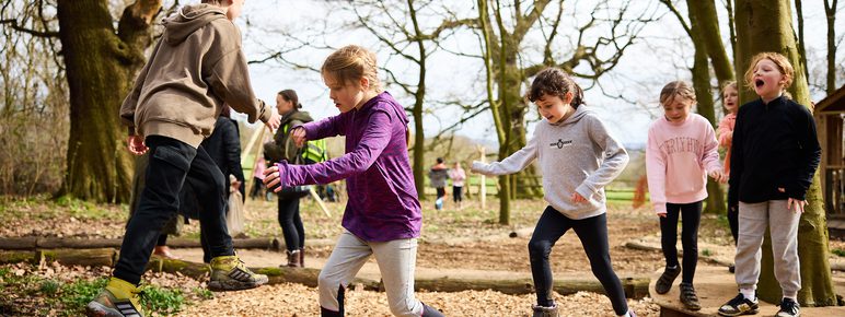 A group of children playing on natural stepping stones and branches.