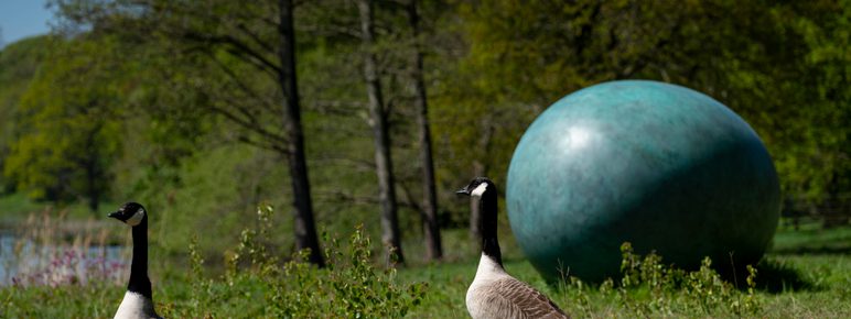 Two Canada geese standing in front of a large green egg shaped sculpture.